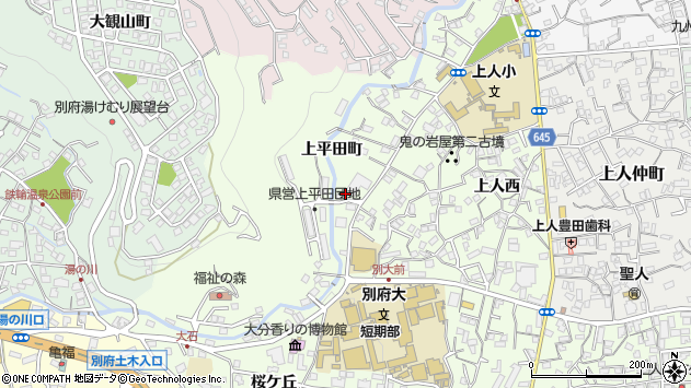 〒874-0036 大分県別府市上平田町の地図