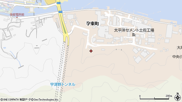 〒780-8021 高知県高知市孕東町の地図