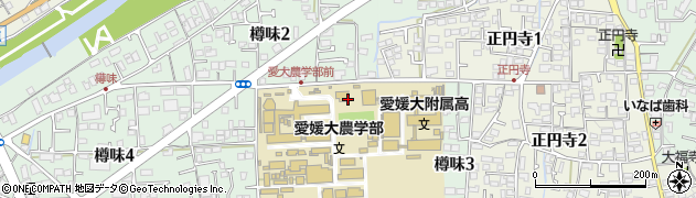愛媛大学　植物工場研究センター基盤技術研究周辺の地図