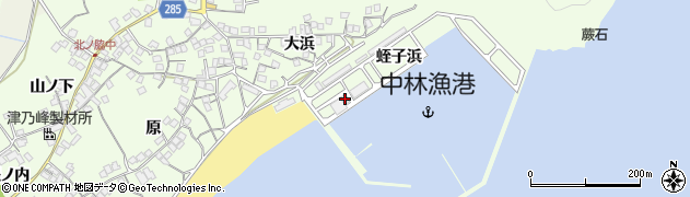 徳島県阿南市中林町（蛭子浜）周辺の地図