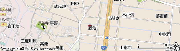徳島県阿南市才見町（藤池）周辺の地図