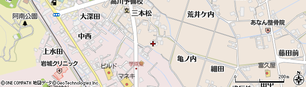 徳島県阿南市才見町三本松72周辺の地図