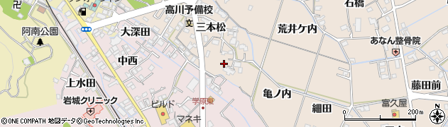 徳島県阿南市才見町三本松71周辺の地図