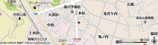 徳島県阿南市才見町三本松43周辺の地図