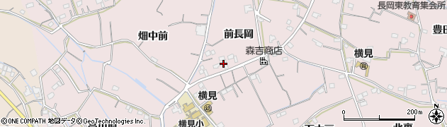 徳島県阿南市横見町前長岡周辺の地図