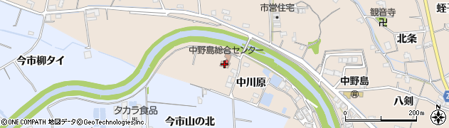 阿南市役所　中野島総合センター周辺の地図