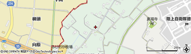 徳島県阿南市那賀川町島尻442周辺の地図