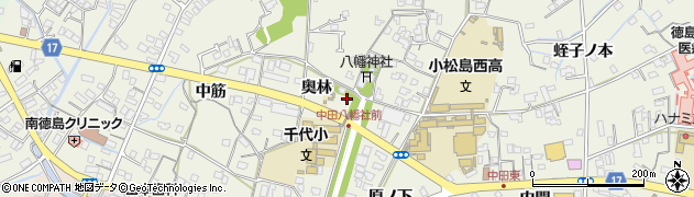 徳島県小松島市中田町奥林26周辺の地図