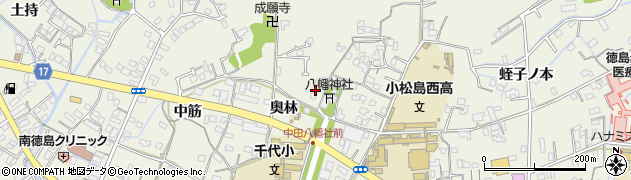 徳島県小松島市中田町奥林28周辺の地図