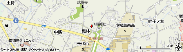 徳島県小松島市中田町奥林45周辺の地図