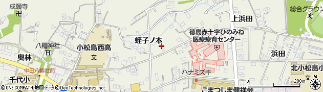 徳島県小松島市中田町（蛭子ノ本）周辺の地図