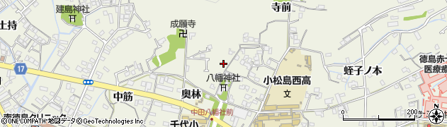 徳島県小松島市中田町奥林21周辺の地図