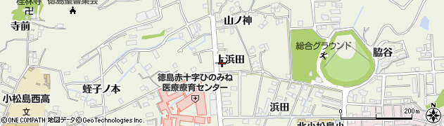 徳島県小松島市中田町上浜田48周辺の地図