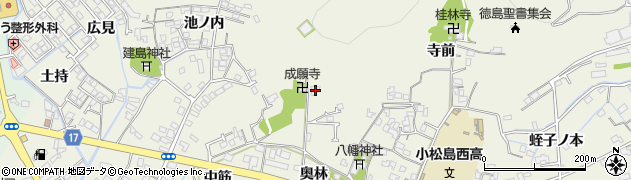 徳島県小松島市中田町奥林5周辺の地図