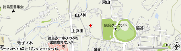 徳島県小松島市中田町上浜田41周辺の地図
