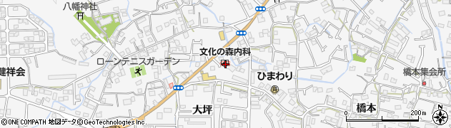 徳島県徳島市八万町大坪180周辺の地図