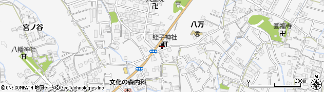 徳島県徳島市八万町下福万2周辺の地図