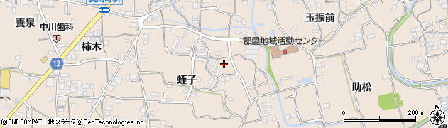徳島県美馬市美馬町（蛭子）周辺の地図