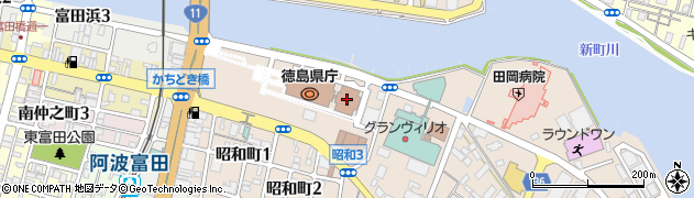 徳島県庁　保健福祉部・健康づくり課難病相談支援センター周辺の地図