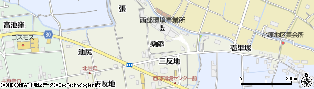 徳島県徳島市国府町北岩延（桑添）周辺の地図