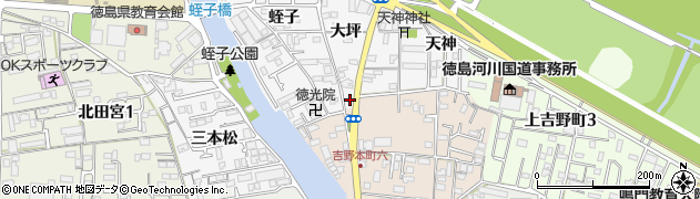 徳島県徳島市上助任町大坪11周辺の地図