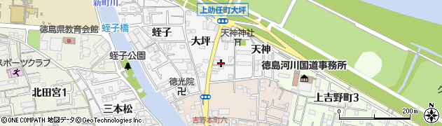 徳島県徳島市上助任町大坪175周辺の地図