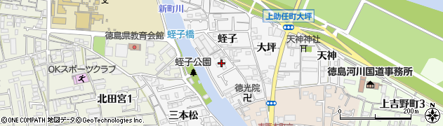株式会社セイブ徳島営業所周辺の地図