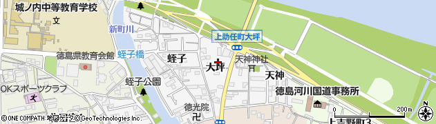 徳島県徳島市上助任町大坪180周辺の地図