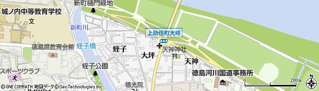 徳島県徳島市上助任町大坪183周辺の地図