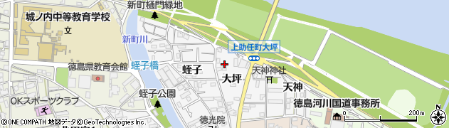 徳島県徳島市上助任町大坪160周辺の地図