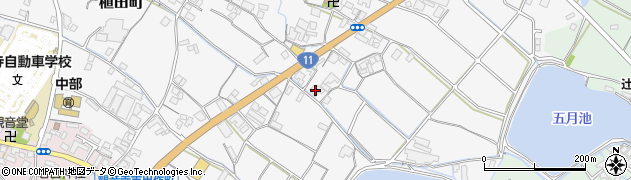 香川県観音寺市植田町731周辺の地図
