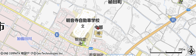 香川県観音寺市植田町1217周辺の地図