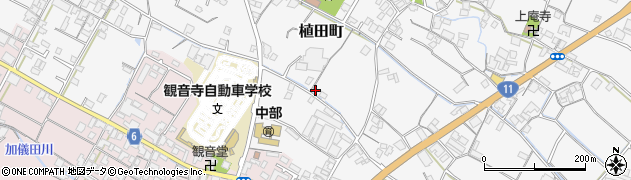香川県観音寺市植田町1171周辺の地図