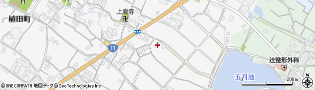 香川県観音寺市植田町872周辺の地図