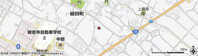 香川県観音寺市植田町1146周辺の地図