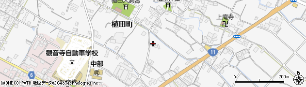 香川県観音寺市植田町1147周辺の地図