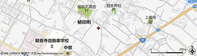 香川県観音寺市植田町1150周辺の地図
