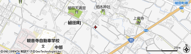 香川県観音寺市植田町681周辺の地図