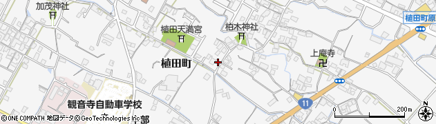 香川県観音寺市植田町515周辺の地図
