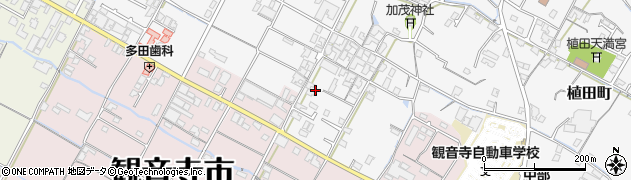 香川県観音寺市植田町1443周辺の地図