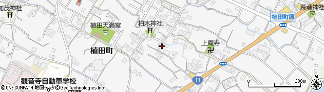 香川県観音寺市植田町672周辺の地図