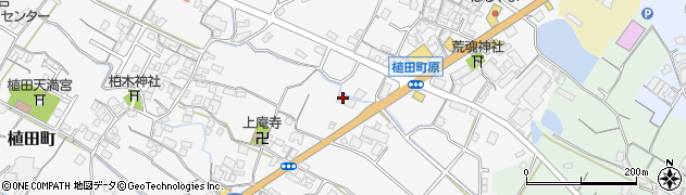 香川県観音寺市植田町817周辺の地図