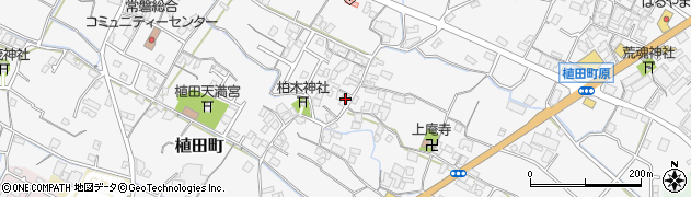 香川県観音寺市植田町554周辺の地図
