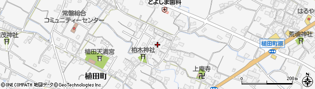 香川県観音寺市植田町556周辺の地図