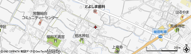 香川県観音寺市植田町620周辺の地図