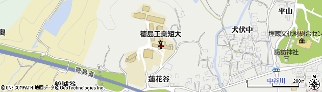徳島工業短期大学　入試広報課周辺の地図