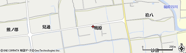徳島県鳴門市大麻町板東（鴨原）周辺の地図