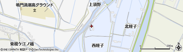 徳島県鳴門市大津町長江（西蛭子）周辺の地図