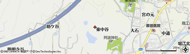 徳島県鳴門市大麻町池谷（東中谷）周辺の地図
