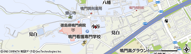 徳島県鳴門市撫養町黒崎（小谷）周辺の地図